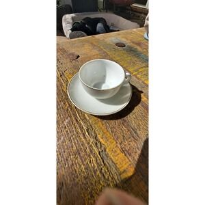 Hand Painted White With gold Trim.made In Japan Tea Cup & Saucer